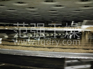 精品国产91乱码一区二区三区盘式干燥机的特点及应用